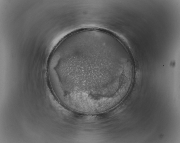 X0000111351279200907241150