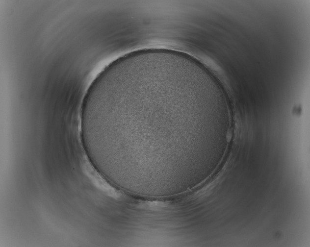 X0000111351280200907241150