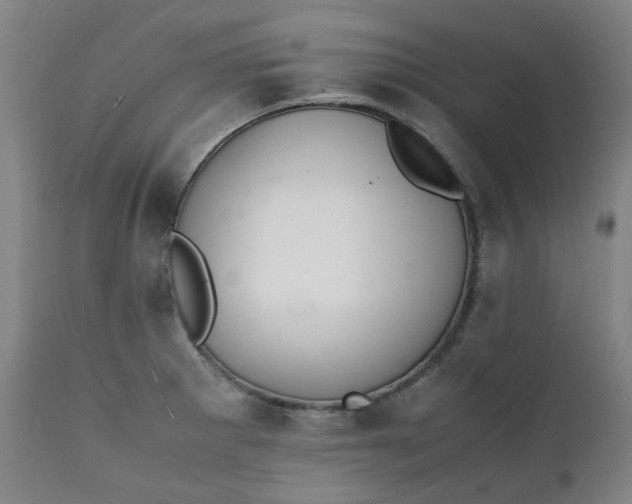 X0000111351281200907241150