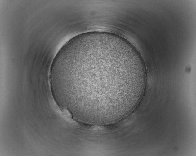 X0000111351283200907241150