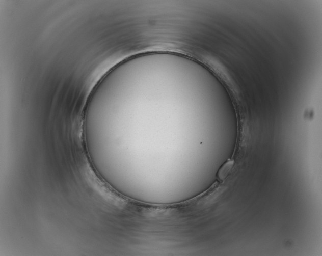 X0000111351284200907241150