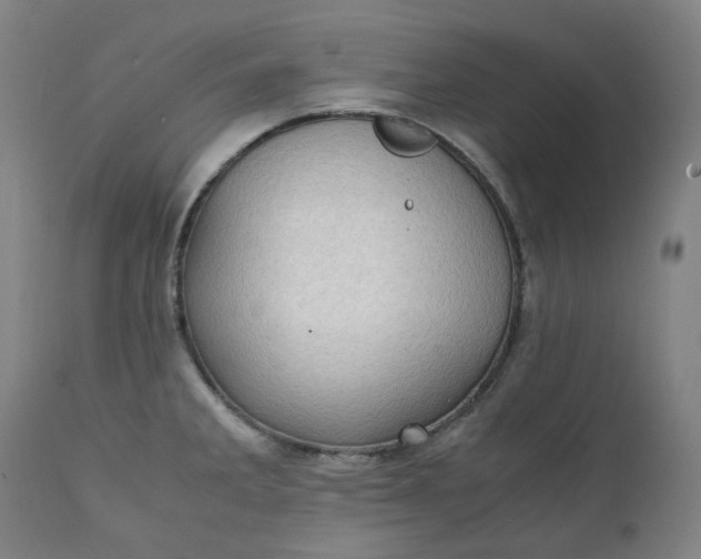 X0000111351285200907241150