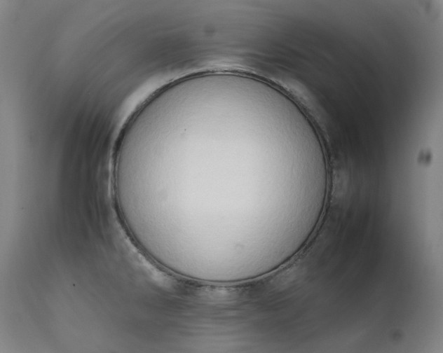 X0000111351286200907241150