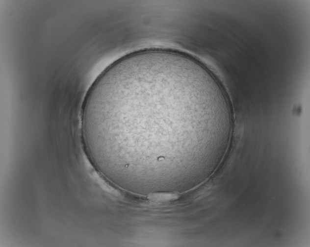 X0000111351287200907241150