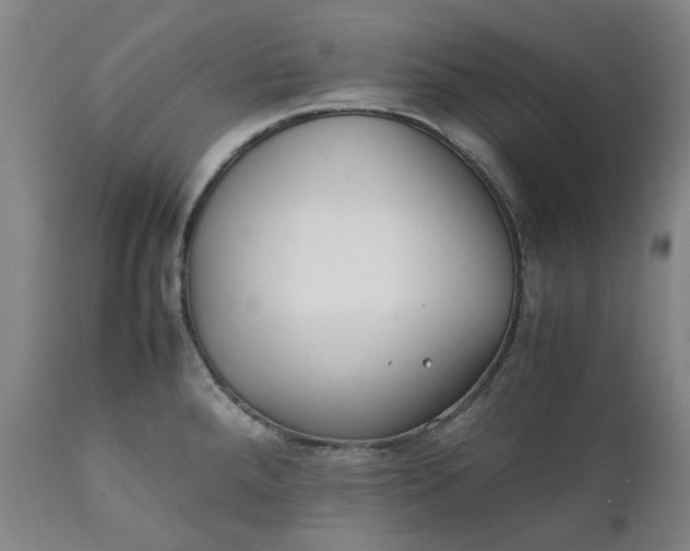 X0000111351288200907241150