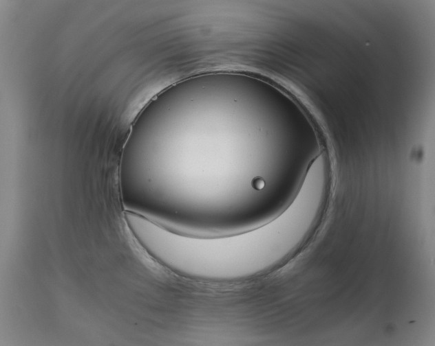 X0000111351289200907241150