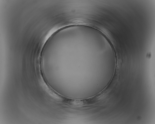 X0000111351291200907241150