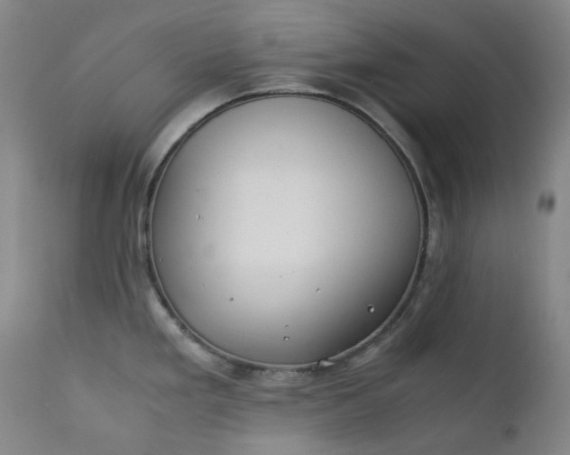 X0000111351293200907241149