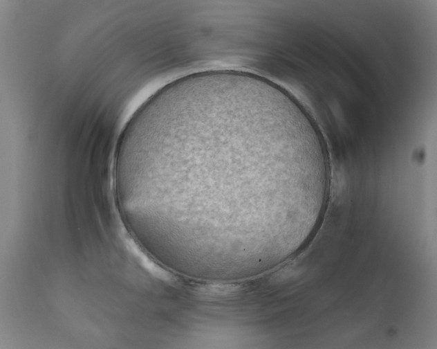 X0000111351294200907241149