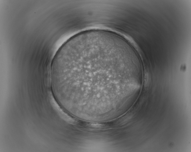 X0000111351295200907241149