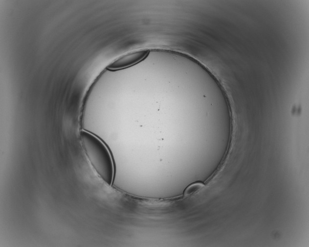 X0000111351296200907241149