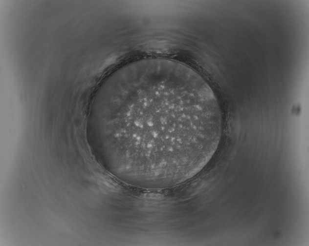 X0000111351297200907241149