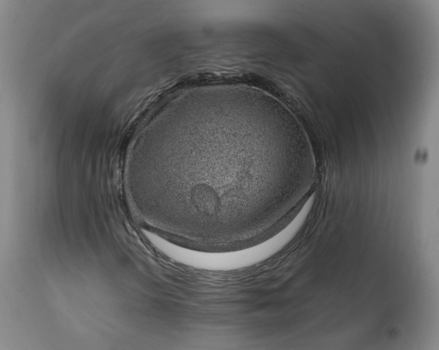 X0000111351298200907241149