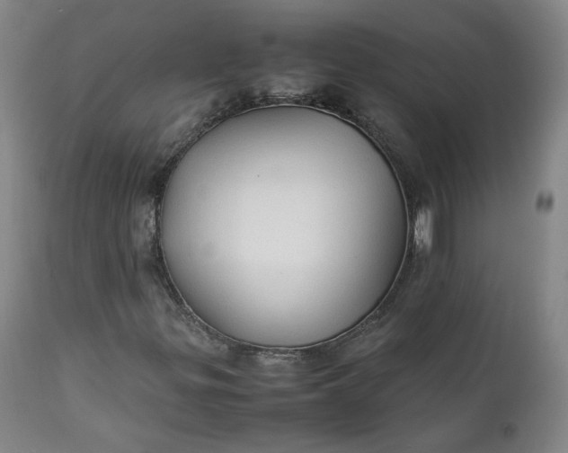 X0000111351299200907241149