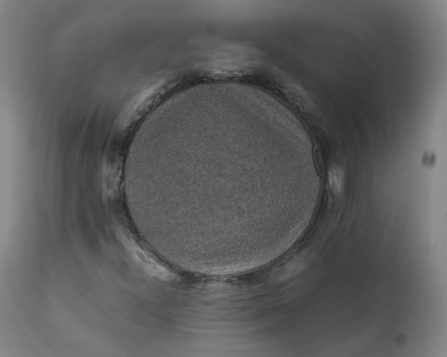 X0000111351300200907241149