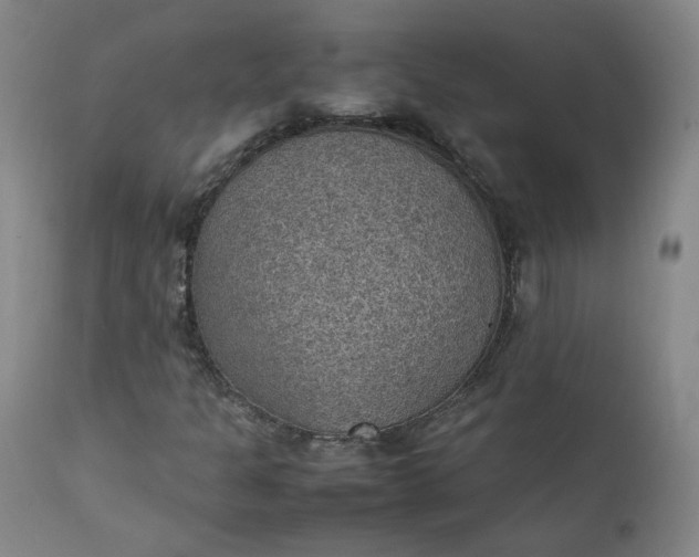 X0000111351301200907241149