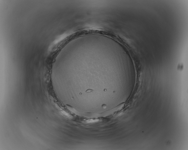 X0000111351303200907241149