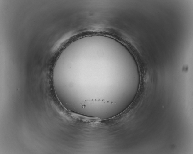 X0000111351304200907241149