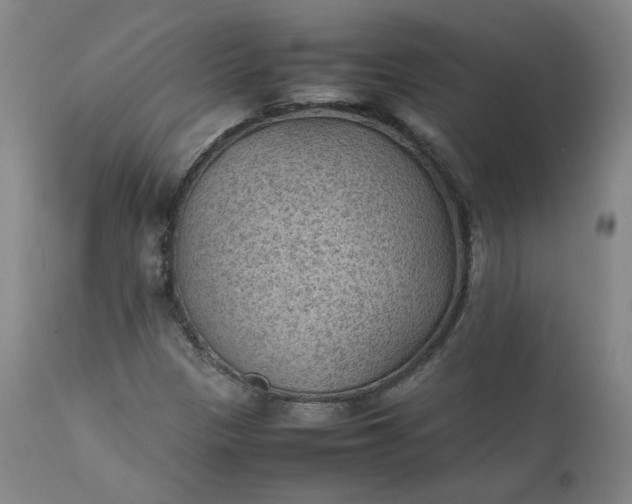 X0000111351305200907241149