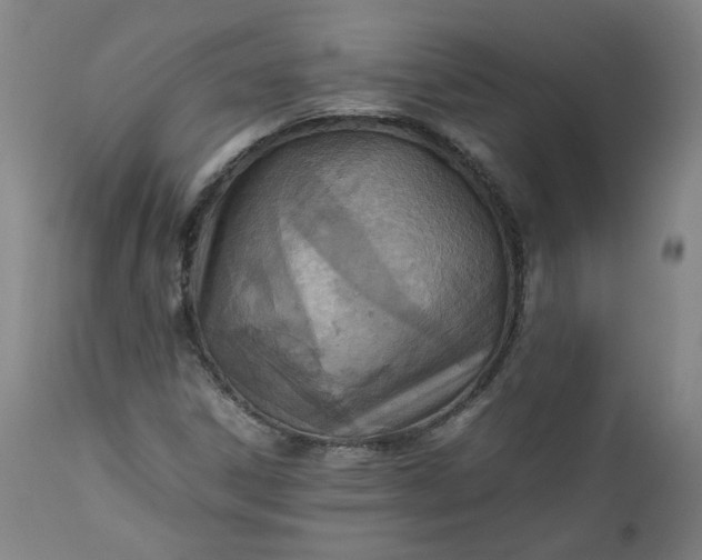 X0000111351306200907241149