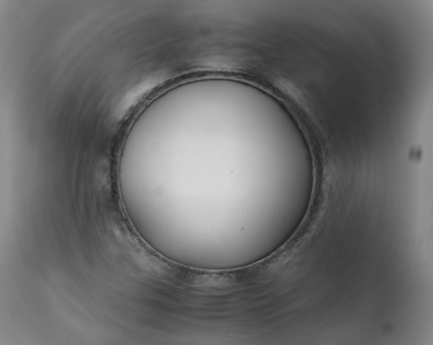 X0000111351307200907241149