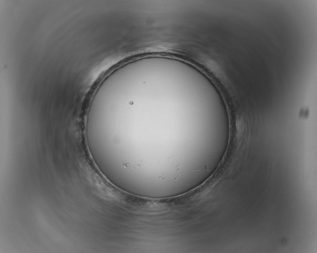 X0000111351308200907241149