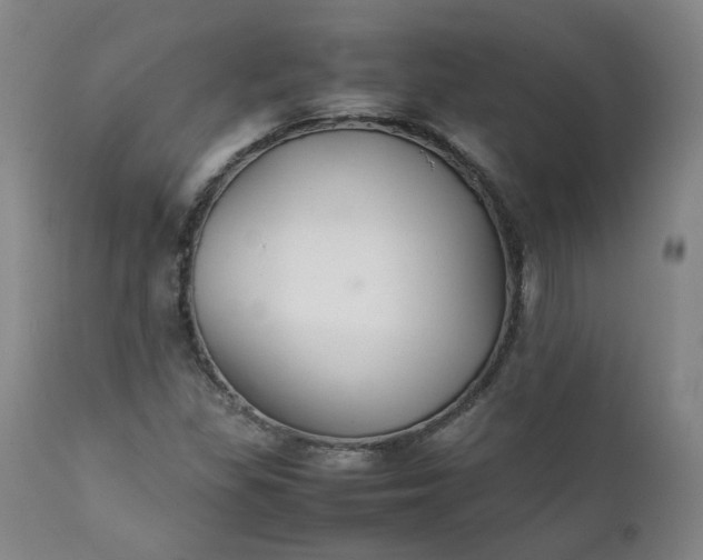 X0000111351309200907241149