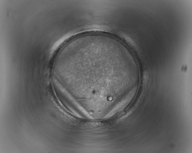 X0000111351310200907241149