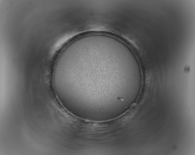 X0000111351311200907241149