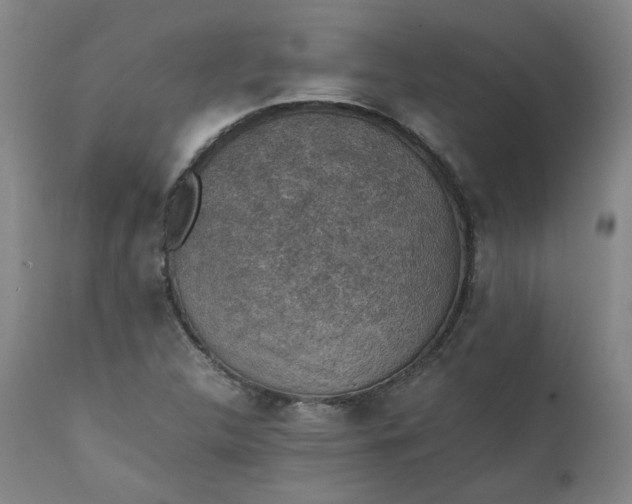 X0000111351312200907241149