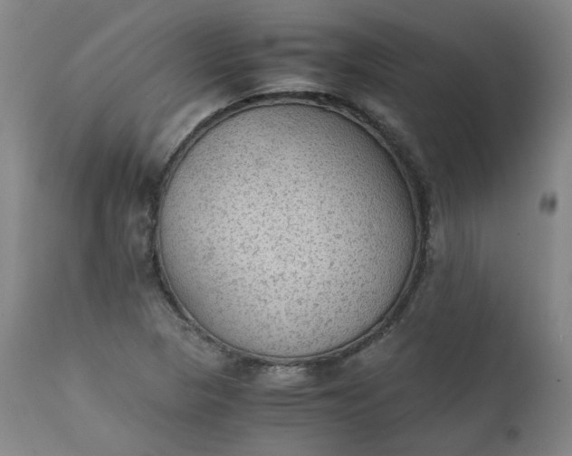 X0000111351313200907241149