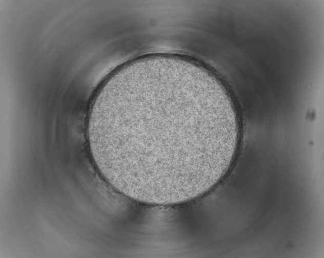 X0000111351314200907241149