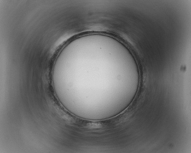 X0000111351315200907241149