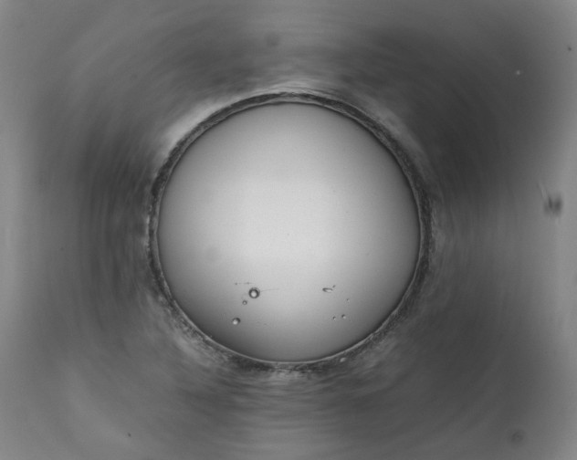 X0000111351316200907241149