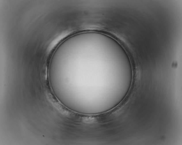 X0000111351317200907241149