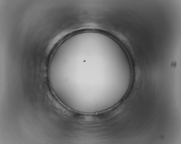 X0000111351318200907241149