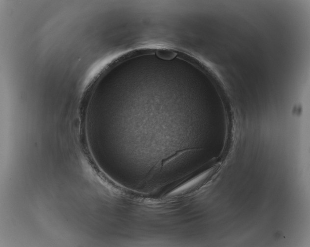 X0000111351319200907241149