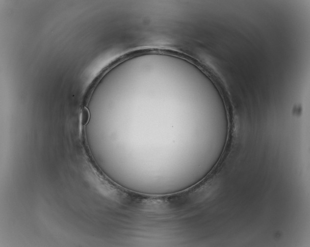 X0000111351320200907241149