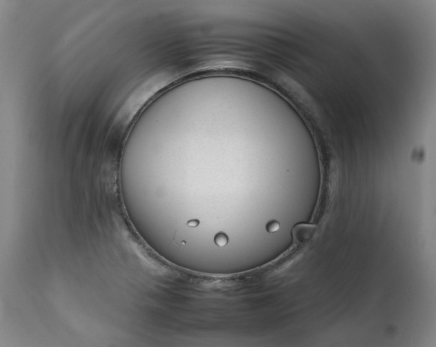 X0000111351321200907241149