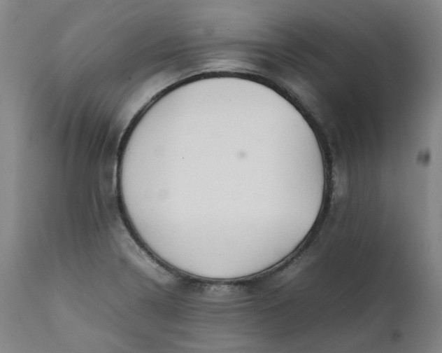 X0000111351322200907241149