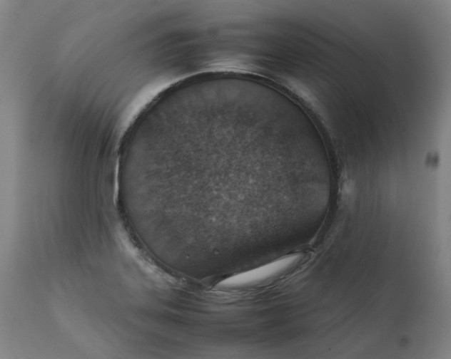 X0000111351323200907241149