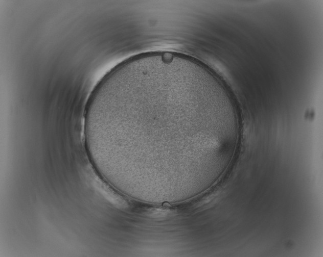 X0000111351324200907241149