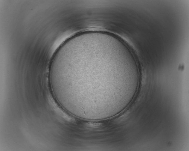 X0000111351325200907241149