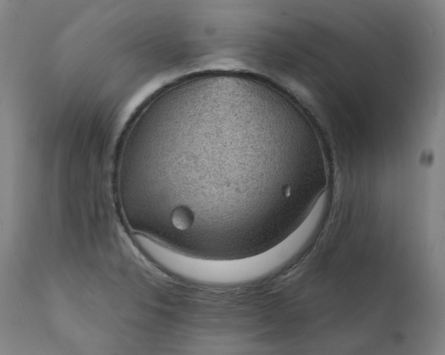 X0000111351326200907241149