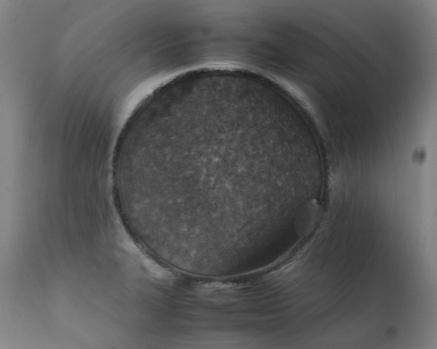 X0000111351327200907241149