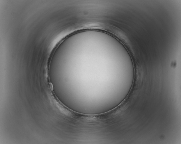 X0000111351328200907241149