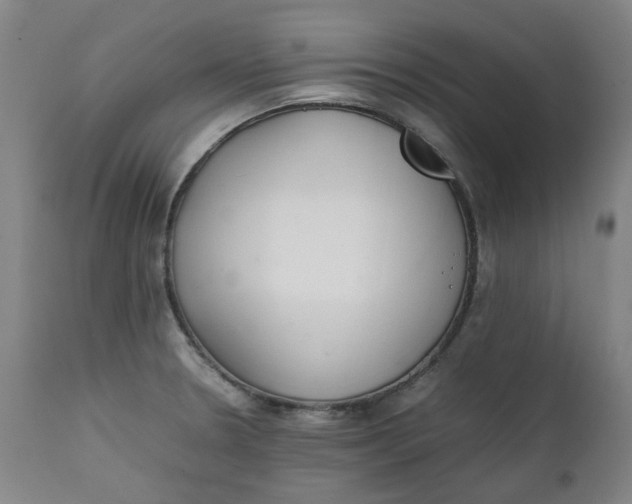 X0000111351330200907241149