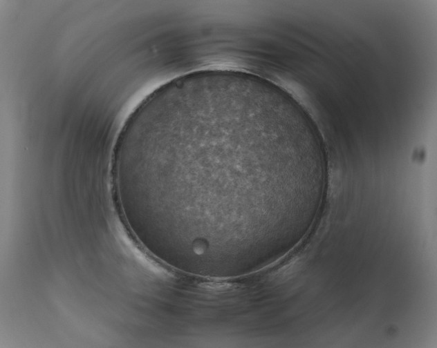 X0000111351331200907241149