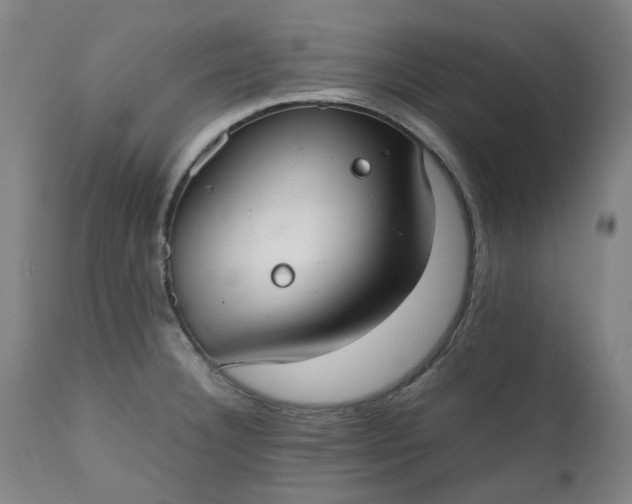 X0000111351332200907241149