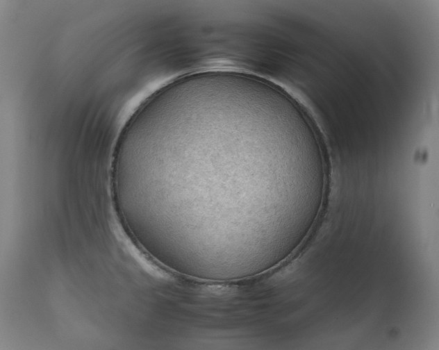 X0000111351333200907241149